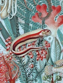 Mural Underwater Jungle WP-687