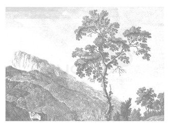 Mural Engraved Landscapes WP-322