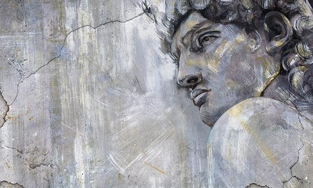 Mural David 35 0923 13  flizelina