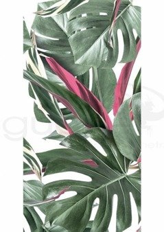 Mural Botanical Monstera WP-582