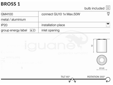 Lampa BROSS 1 plafon aluminium