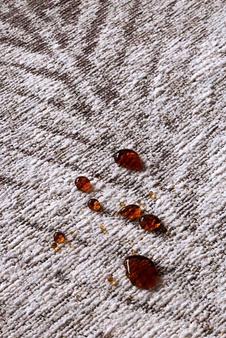 Dywan Java Ivory 200x300