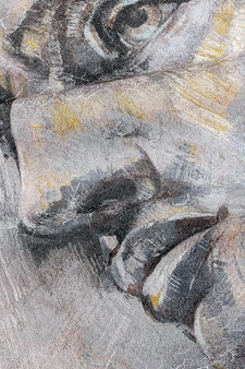 Mural David 35 0923 03  flizelina