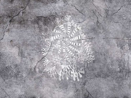 Mural Nautilus 34 0415 01 Flizelina