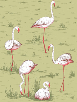Tapeta Flamingos 112/11038
