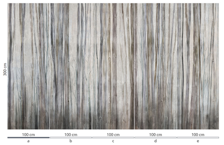 Mural Mirage 35 0794 18  flizelina