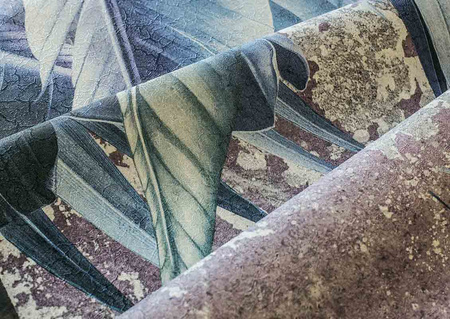 Mural Adenia 35 0754 07 flizelina