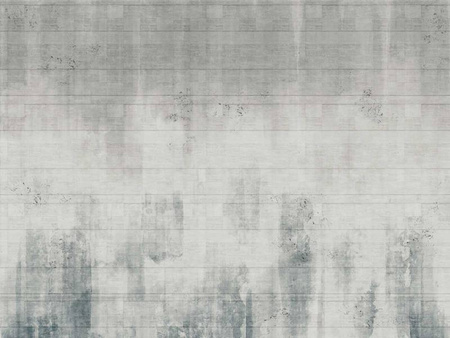Mural Virgo 325 32 2101 - winyl