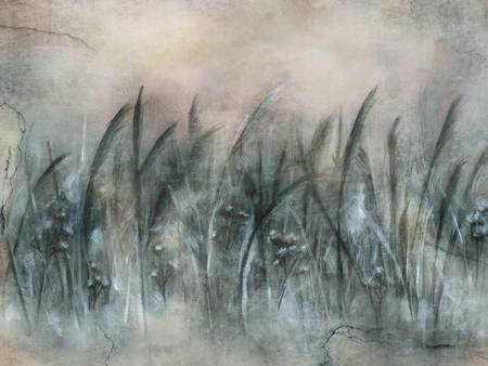 Mural Canna 535 32 2201 winyl