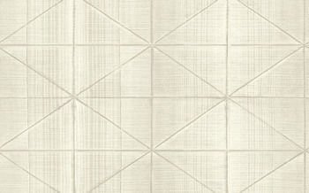 Tapeta Carl Robinson 14 CR61408