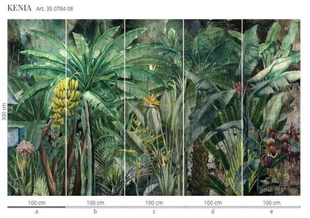 Mural Kenia 35 0784 08 flizelina