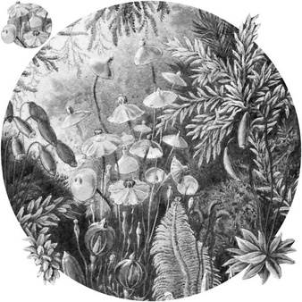 Mural koło Fairytale Black and White