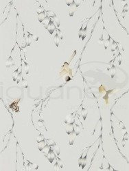 Tapeta Zapara 111768