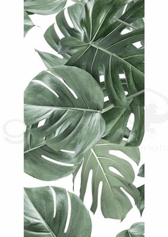 Mural Botanical Monstera WP-584
