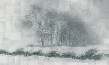 Mural Nebbia 35 0466 00 flizelina