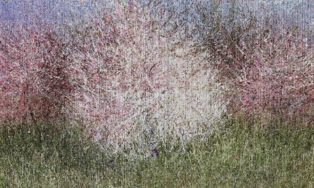 Mural Bloom 35 0523 08 flizelina 