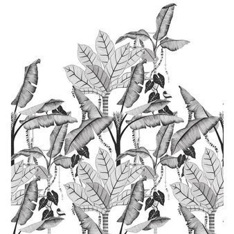 Mural Jangala 74992038