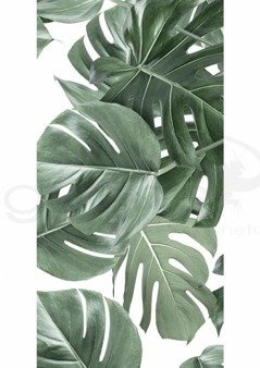 Mural Botanical Monstera WP-584