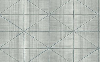 Tapeta Carl Robinson 14 CR61402