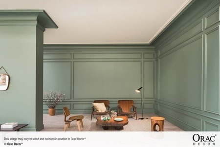 Listwa przysufitowa CX106 flex