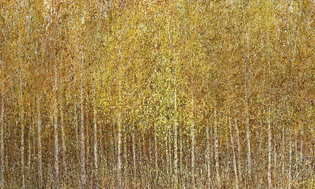 Mural Euporie 35 0544 06 Winyl