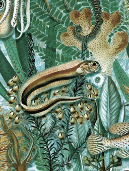 Mural Underwater Jungle WP-688