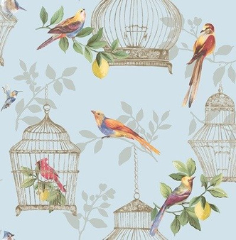Tapeta Daisy Bannett DB11902