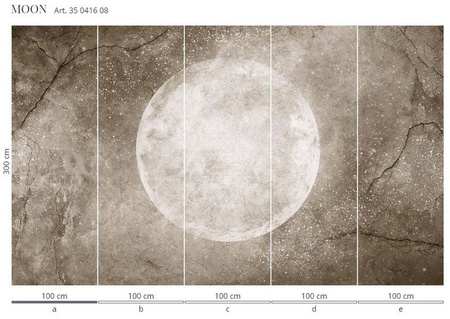 Mural Moon 35 0416 08 Winyl