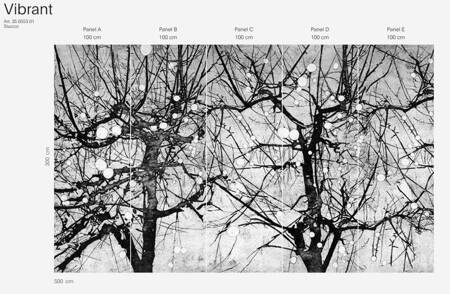 Mural Vibrant 35 0553 01  Flizelina