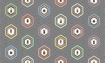 Mural Coleoptera 35 0505 06 flizelina