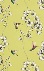 Tapeta Amazilia 111061