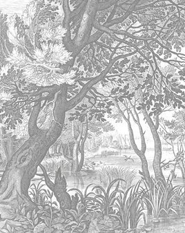 Mural Engraved Landscapes PA-029