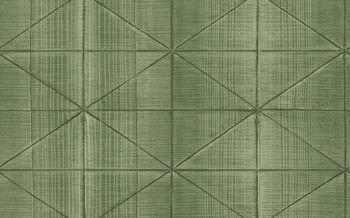 Tapeta Carl Robinson 14 CR61404