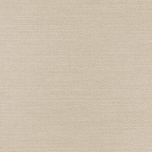 Tapeta Obiektowa Ralph W47.379