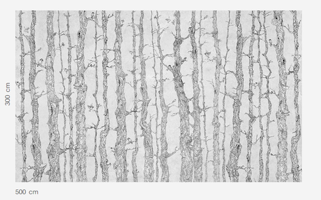 Mural Planty 35 0117 02 Flizelina