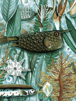 Mural Underwater Jungle WP-694