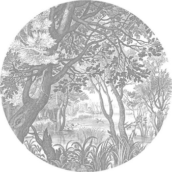 Mural Engraved Landscapes CK-044