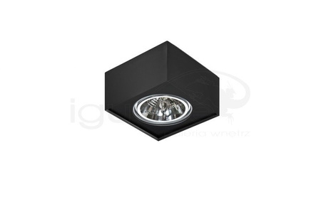 Plafon Paulo 1 12V czarny