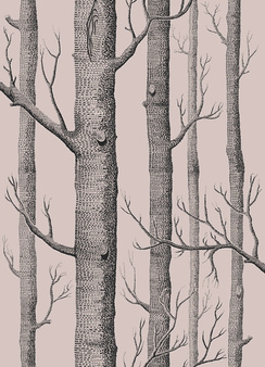 Tapeta Woods 112/3009