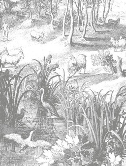 Mural XL Engraved Landscapes BC-045