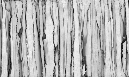 Mural Jguana 35 0461 11 flizelina