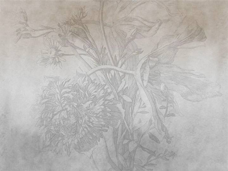 Mural Grey Ombre Flower winyl 