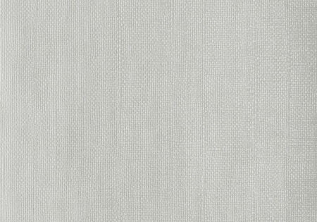 Tapeta Willow 1703-115-01