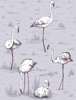 Tapeta Flamingos 112/11040