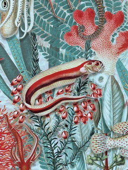 Mural Underwater Jungle WP-699