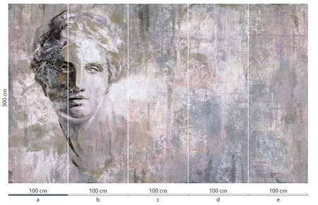 Mural Venus 35 0922 05  flizelina