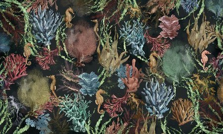 Mural Corallo 35 0521 01 flizelina