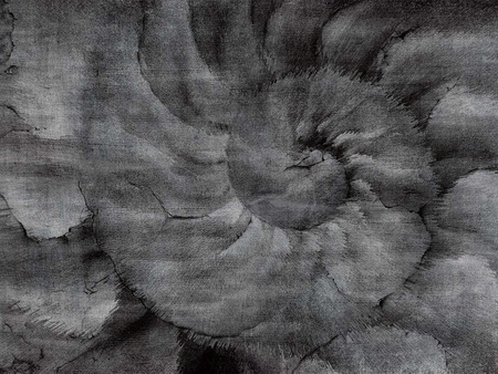 Mural Fosillium 405 33 2101 - winyl