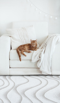 Dywan Sabbia Beige 160x230