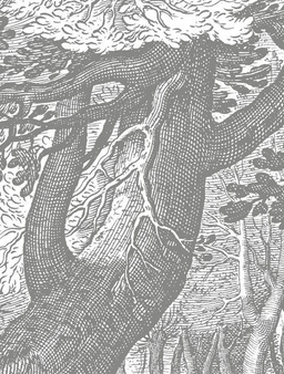 Mural Engraved Landscapes BP-029